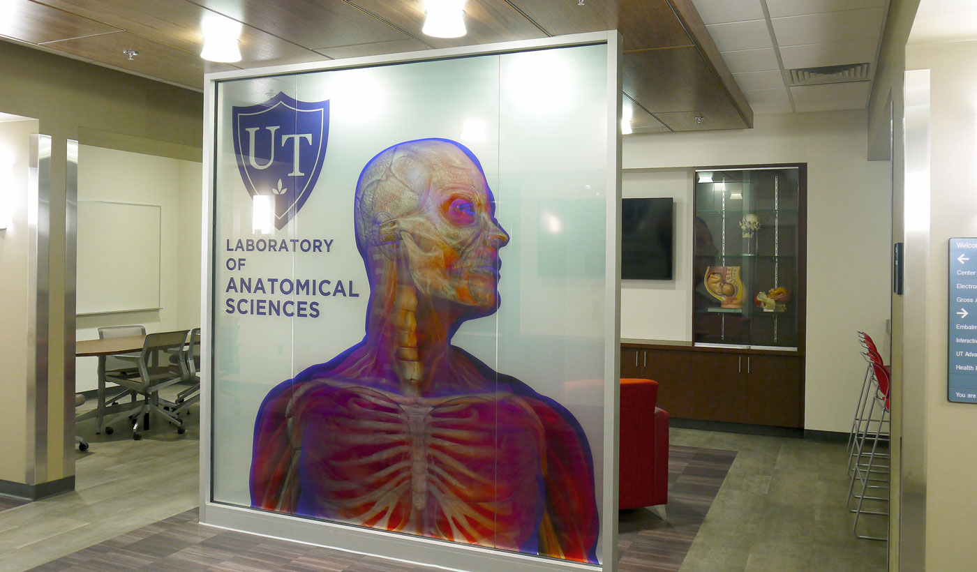 Anatomy Lab Design