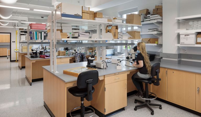 CFAES Lab & Office Renovations - The Ohio State University Hasenstab ...